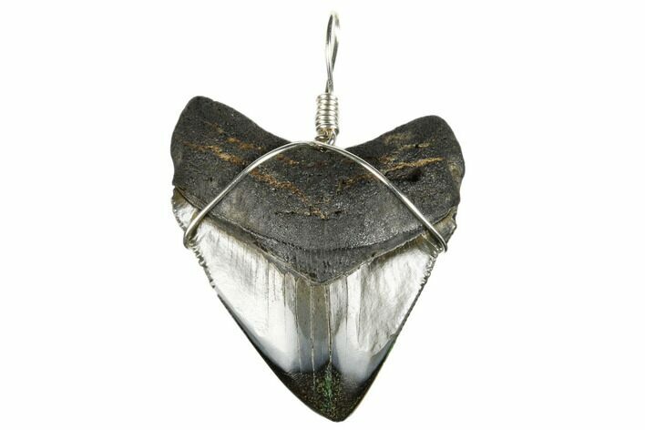 Fossil Megalodon Tooth Necklace #173825